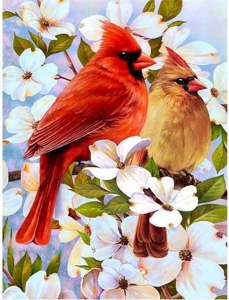 Norimpex Malowanie Po Numerach Ptaki Wśród Kwiatów 50X40cm Z Ramą Kreatywne 1009534 1638065257