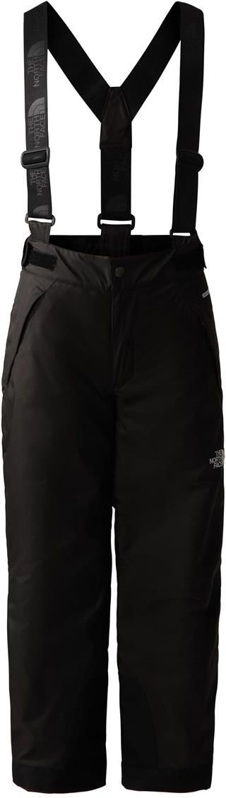 Spodnie Narcairskie The North Face Teen Snowquest Suspender Pant Dziecięce  - Ceny i opinie 