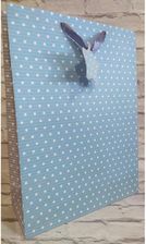 Zdjęcie Panon Torba Prezentowa Błękitna 42 X 31 12 Cm - Płock