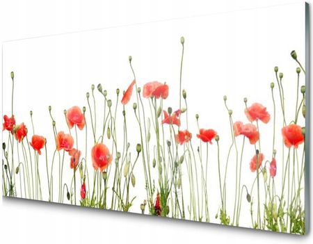 Tulup Panel Szklany Dekoracyjny Maki Roślina 100X50