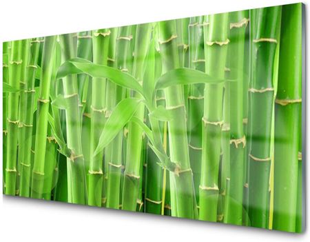Tulup Panel Szklany Dekor Bambus Łodyga Kwiat 100X50