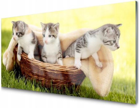 Tulup Panel Szklany Dekoracyjny Koty Zwierzęta 100X50