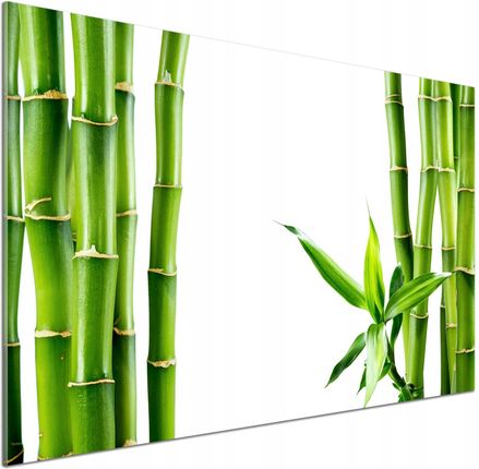 Tulup Panel Szklany Do Kuchni Bambus 100X70 Cm Klej