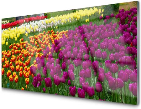 Tulup Panel Szklany Dekoracyjny Tulipany Kwiaty 100X50