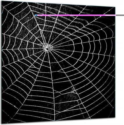 Tmk Artdeko Panel Szklany Do Kuchni Ochronny 60X65 Czarna Lacobel