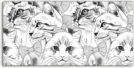 Coloray Hartowane Panele Szklane Koty Zwierzęta 100X50 Cm