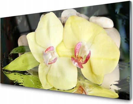 Tulup Panel Szklany Płytka Kwiat Storczyk 100X50