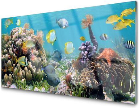 Tulup Panel Szklany Dekoracyjny Rafa Koralowa 100X50
