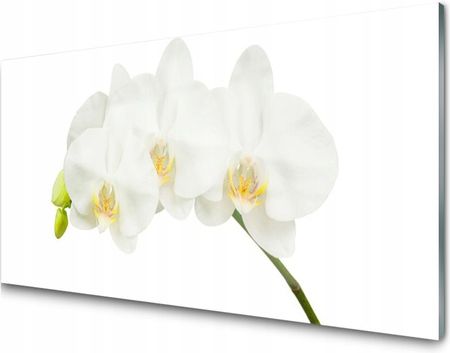 Tulup Panel Szklany Płytka Storczyk Kwiaty 100X50
