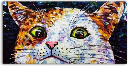 Coloray Panele Szklane Do Kuchni Kot Oczy Zwierzę 100X50