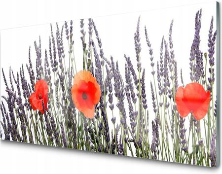 Tulup Panel Szklany Płytka Kwiaty Maki Trawy 100X50