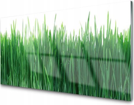 Tulup Panel Szklany Płytka Trawa Przyroda 100X50