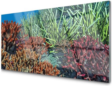 Tulup Panel Szklany Płytka Rafa Koralowa Morze 100X50