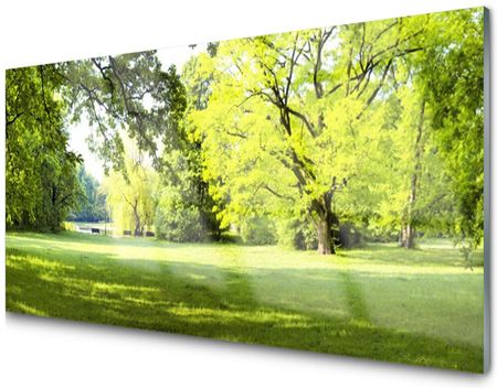 Tulup Panel Szklany Płytka Trawa Drzewa Park 100X50