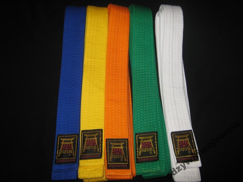 Pas Pasy Karate Taekwondo Judo Bushi Biały 320cm - Ceny i opinie - Ceneo.pl