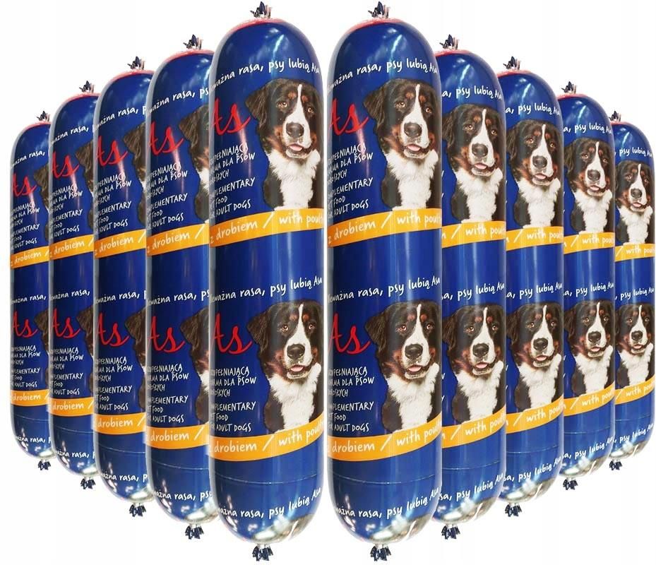 Best Carpet for Pets Requires Stain Resistance Odor-Neutralizing Properties