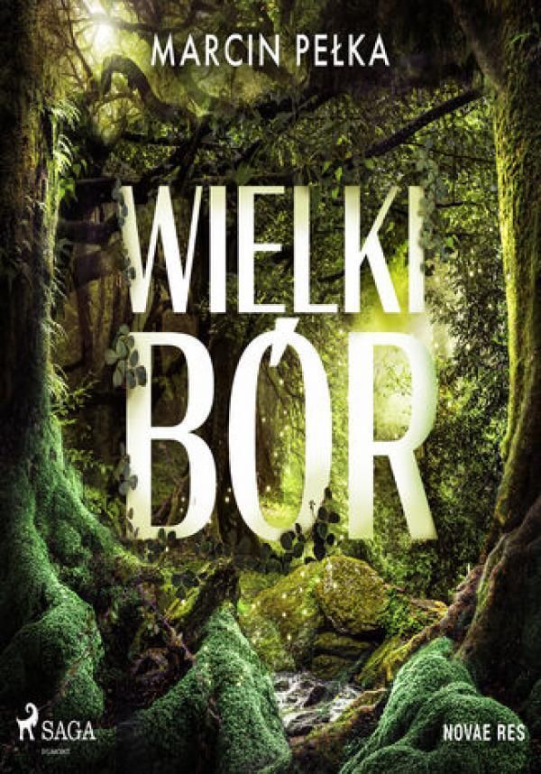 Wielki Bór (Audiobook) Ceny i opinie Ceneo.pl