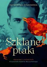 Zdjęcie Szklane ptaki - Złotów
