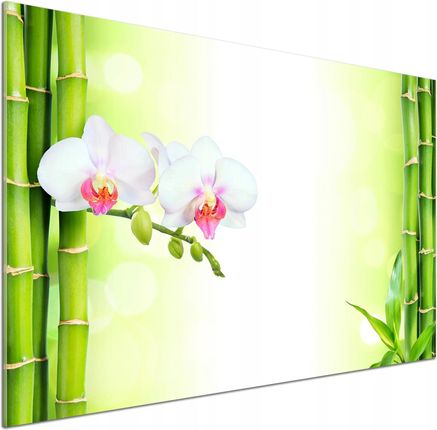 Tulup Panel Do Kuchni Orchidea I Bambus 100x70cm Klej