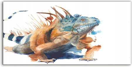 Coloray Kuchnia Panel Szkło Iguana Zwierzę Tropiki 100x50