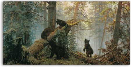 Coloray Lacobel Panel Kuchnia Niedźwiedzie W Lesie 100x50