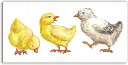 Coloray Panel Kuchenny Laminowany Kurczaki Akwarele 100x50