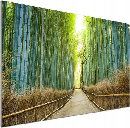 Tulup Panel Do Kuchni Bambusowy Las 100x70cm Klej