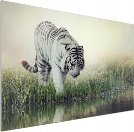 Tulup Panel Dekor Szkło Biały Tygrys 100x70cm Klej