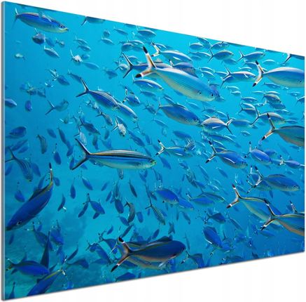 Tulup Panel Do Kuchni Koralowe Ryby 100x70cm Klej