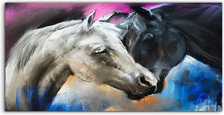 Coloray Panel Między Szafki Konie Zwierzęta Miłość 100x50