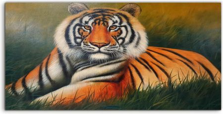 Coloray Panele Do Kuchni Zwierzę Tygrys Bengalski 100x50