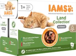 IAMS Advanced Nutrition – mokra karma w saszetkach dla kotów powyżej 1. roku wybór mięsnych smaków w sosie 48x85g