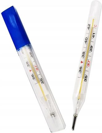 2Pcs Mercury Thermometers General Use Thermometers Termometry Rtęciowe Ogólnego Zastosowania