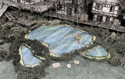 Zdjęcie Battle Systems Lakes & Bogs - Stary Sącz