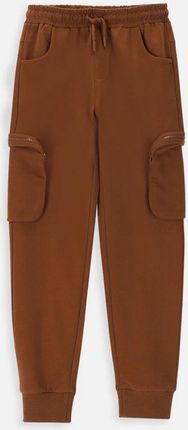 Spodnie dresowe brązowe z kieszeniami o fasonie REGULAR