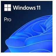 Microsoft Ms 1x windows 11 pro ggk 64-bit dvd oem english international (en) (276568)