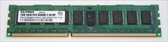 Pamięć RAM Elpida1x 2GB ECC REGISTERED DDR3 1066MHz PC3-8500 RDIMM (EBJ21RE8BAFA-AE-E)