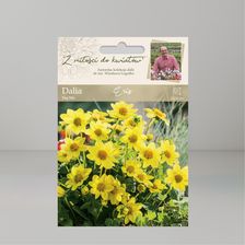 W. Legutko Dalia Ogrodowa Top Mix Eris Żółty 1szt. Karpy
