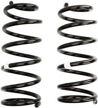 Zdjęcie Old Man Emu Sprężyna OME2945 - Niemcza