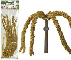 Back Zoo Nature Proso Żółte W Bukiecie Od Bukiet Prosa Żółtego W Kłosach Przysmak Dla Wszystkich Papug 150G