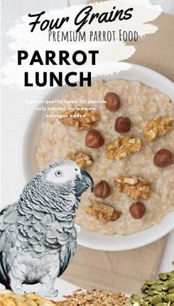 Premium Parrot Food Four Grains Parrot Breakfast Papuzie Danie Śniadaniowe Lub Obiadowe Pokarm Dla Papug Na Ciepło Lub Zimno 100G