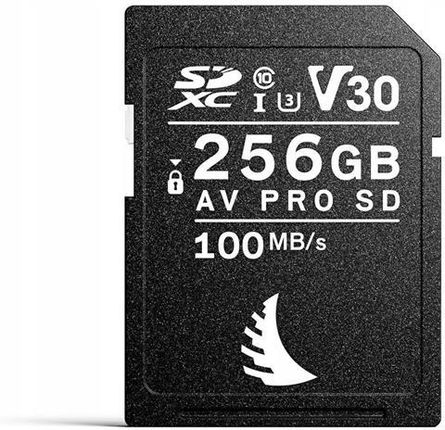 Angelbird AV PRO SD 256GB V30 karta pamięci