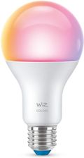 WiZ Żarówka LED smart PRO A67 E27 RGBTW 13W 1521lm (929002449771)