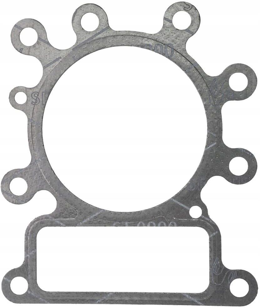 Guarnizione Testa Cilindro Briggs & Stratton 273280S – OEM