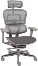 Zdjęcie Ergonomiczny fotel biurowy Ergohuman 2 Elite GT Grey - Marki
