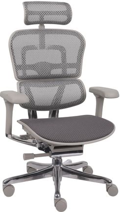 Ergonomiczny fotel biurowy Ergohuman 2 Elite GT Grey