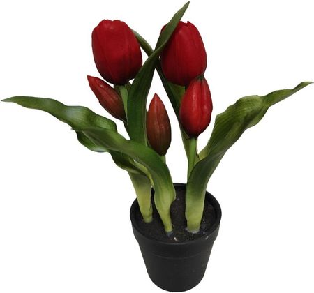 Saska Garden Tulipany W Doniczce 5 Szt Czerwone 23 Cm Jak Żywe Gumowane