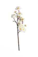 Zdjęcie Dekoria Gałązka Peach 40Cm White 10x10x40 Cm - Sulejówek