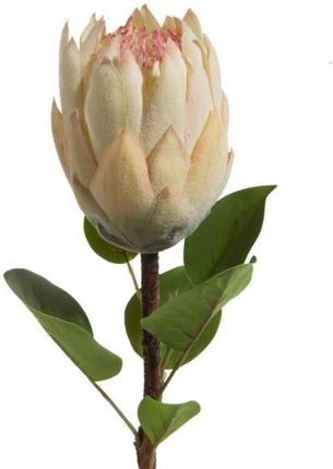Eurofirany Kwiat Sztuczny Ozdobny Gałązka 66Cm Kremowy 6Szt