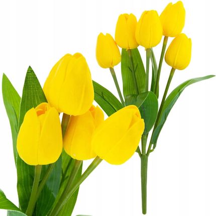 Rzeczy Ładne Cv26805 5 Tulipan Bukiet Tulipanów Żółty Piękny Jak Żywy